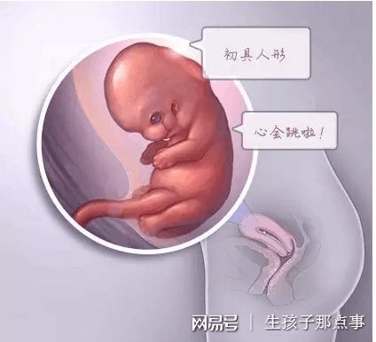 人工孕妈代怀助孕咨询怎么选